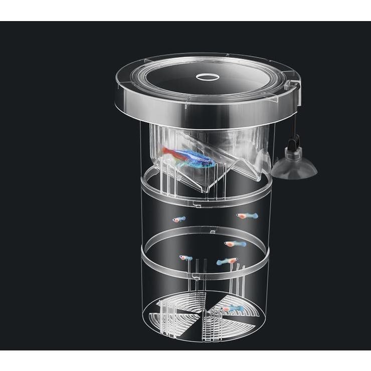 繁殖隔離ケース 産卵ケース 隔離ケース | PlusNao | 詳細画像5