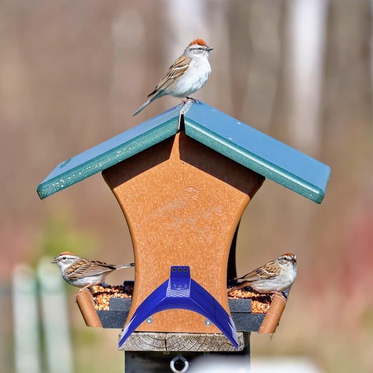 鳥用スタンド スタンドラック 鳩 | PlusNao | 詳細画像2 