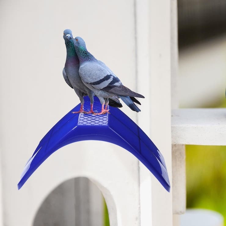 鳥用スタンド スタンドラック 鳩 | PlusNao | 詳細画像5 