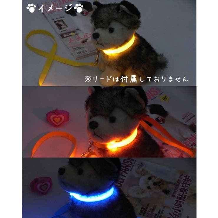 首輪 犬用 単品 | PlusNao | 詳細画像3 