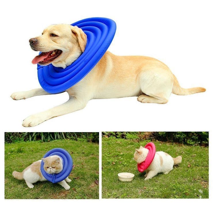 ペット用 犬用 エリザベスカラー | PlusNao | 詳細画像6 