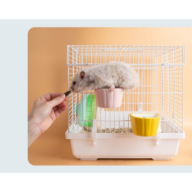 フードボウル 小動物用 ペットボウル | PlusNao | 詳細画像12