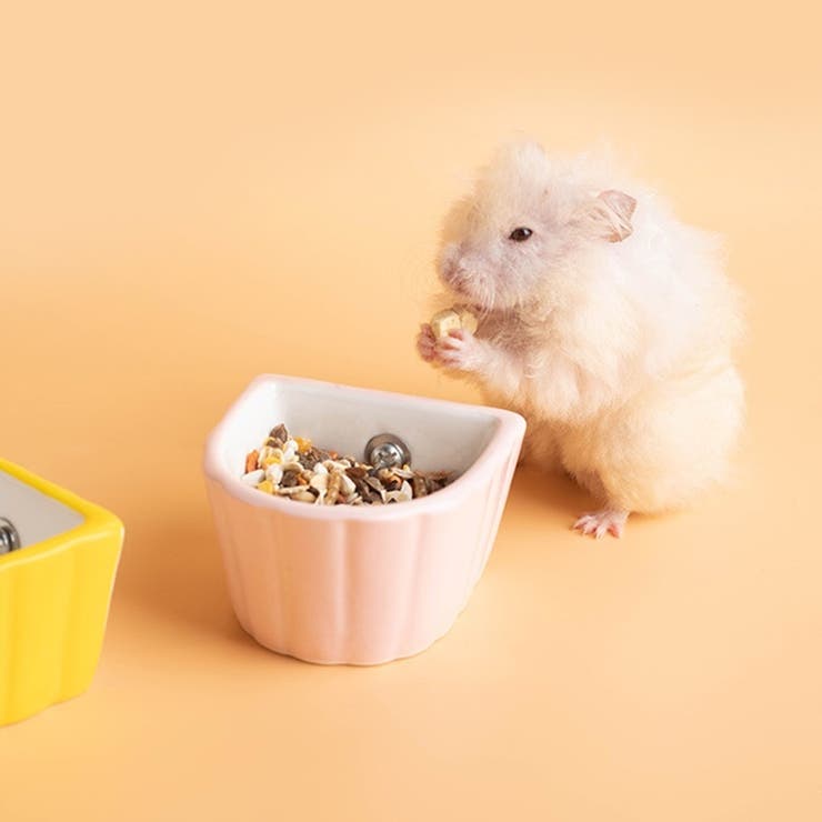 フードボウル 小動物用 ペットボウル | PlusNao | 詳細画像3