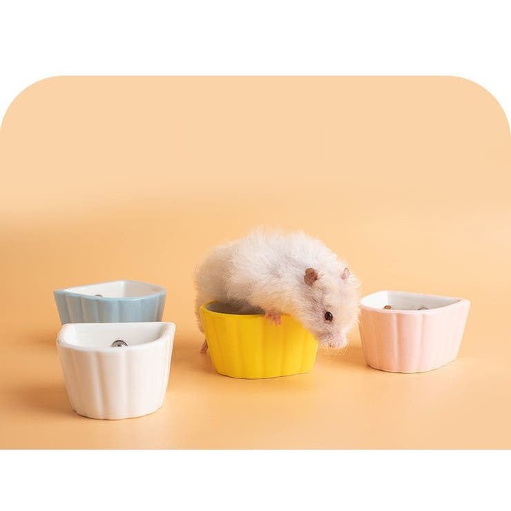 フードボウル 小動物用 ペットボウル | PlusNao | 詳細画像9