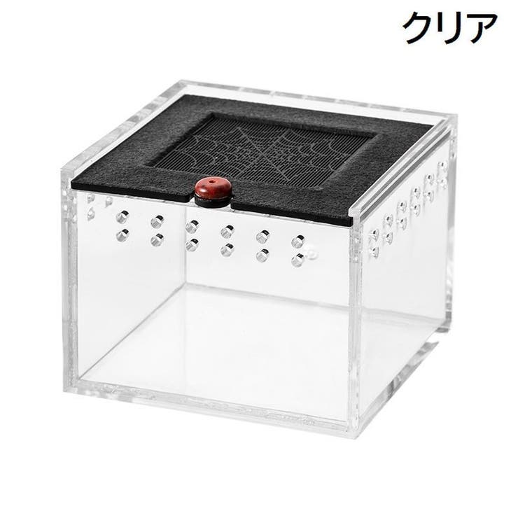 飼育ケージ 飼育ケース 爬虫類用[品番：FQ000181390]｜PlusNao