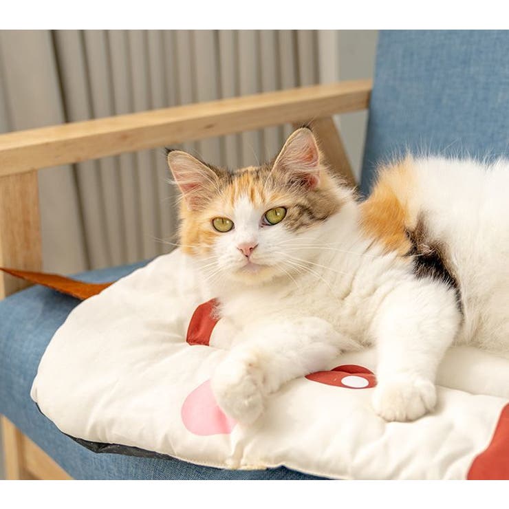 ペットマット ペットベッド 猫 | PlusNao | 詳細画像2 