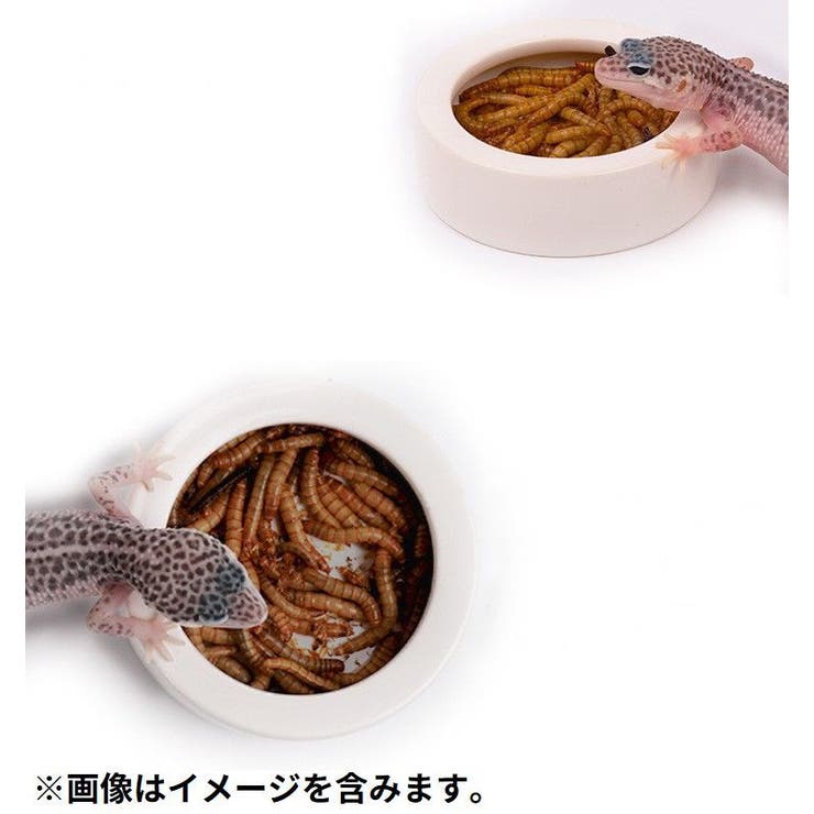 エサ入れ 餌入れ 水入れ | PlusNao | 詳細画像17 