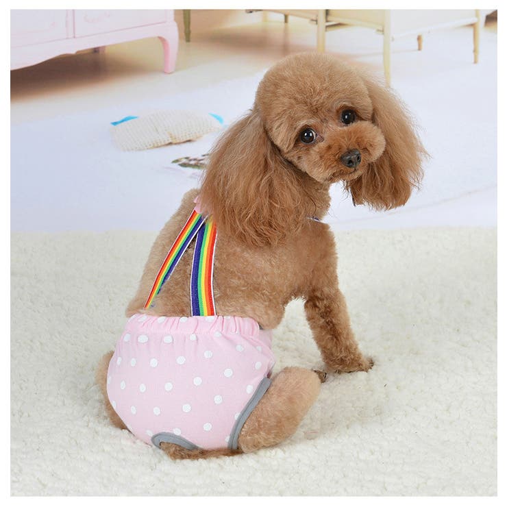 ペット用サニタリーパンツ ペット用マナーパンツ 犬用 | PlusNao | 詳細画像2 