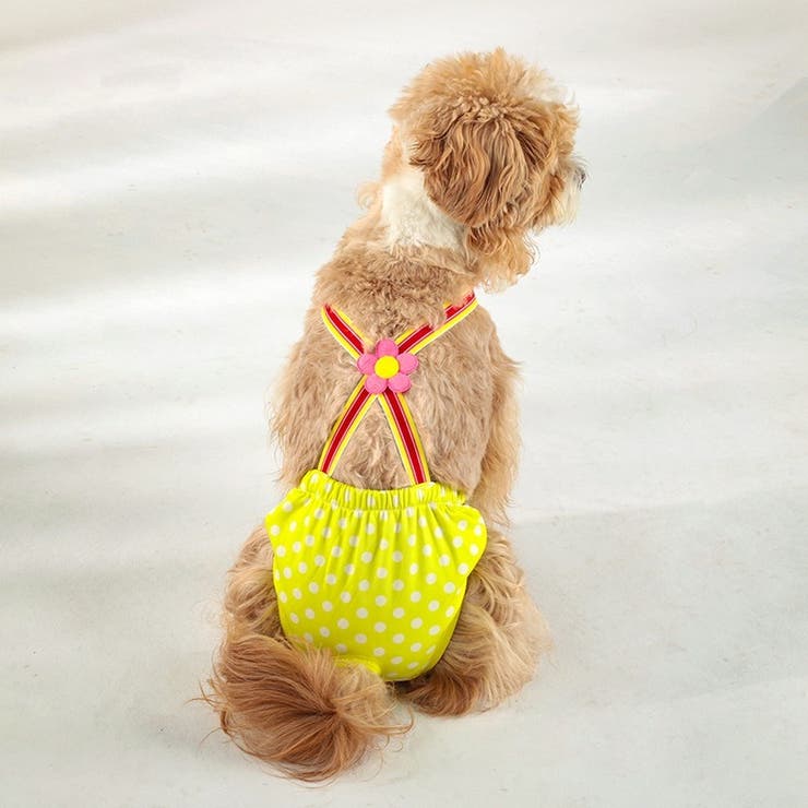 ペット用サニタリーパンツ ペット用マナーパンツ 犬用 | PlusNao | 詳細画像5 