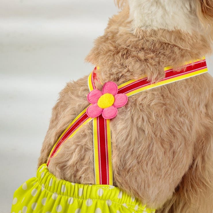 ペット用サニタリーパンツ ペット用マナーパンツ 犬用 | PlusNao | 詳細画像6 