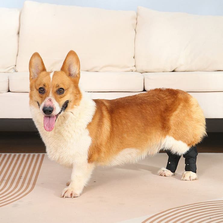 ペット用サポーター 同色2個セット 左右セット | PlusNao | 詳細画像2 