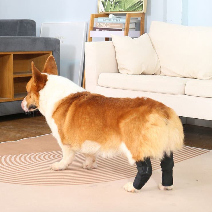 ペット用サポーター 同色2個セット 左右セット | PlusNao | 詳細画像3 