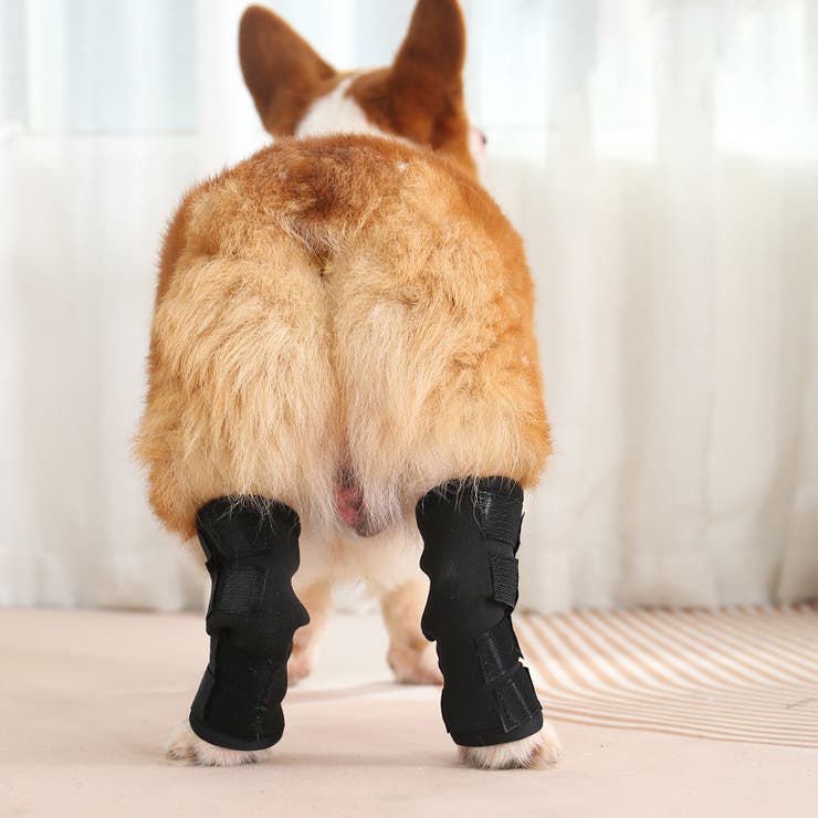 ペット用サポーター 同色2個セット 左右セット | PlusNao | 詳細画像4 