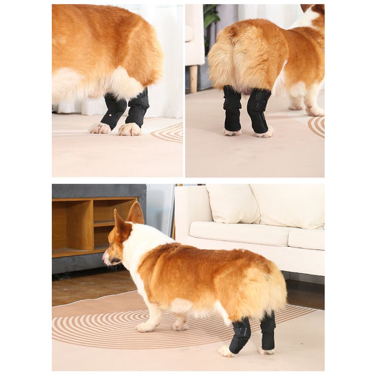 ペット用サポーター 同色2個セット 左右セット | PlusNao | 詳細画像5 