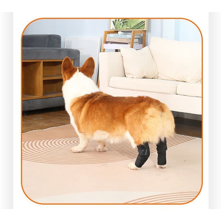 ペット用サポーター 同色2個セット 左右セット | PlusNao | 詳細画像6 