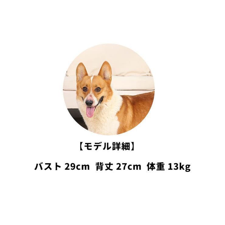 ペット用サポーター 同色2個セット 左右セット | PlusNao | 詳細画像7 