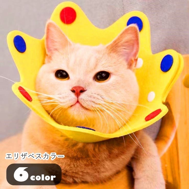エリザベスカラー 猫 ネコ | PlusNao | 詳細画像1 
