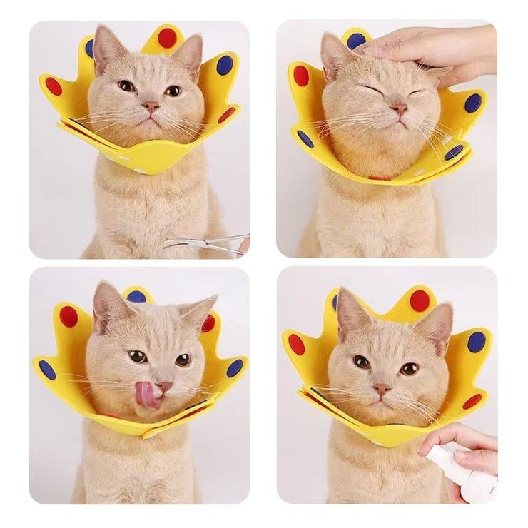 エリザベスカラー 猫 ネコ | PlusNao | 詳細画像3 