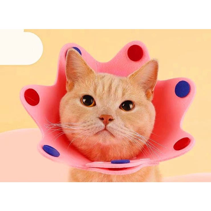 エリザベスカラー 猫 ネコ | PlusNao | 詳細画像5 