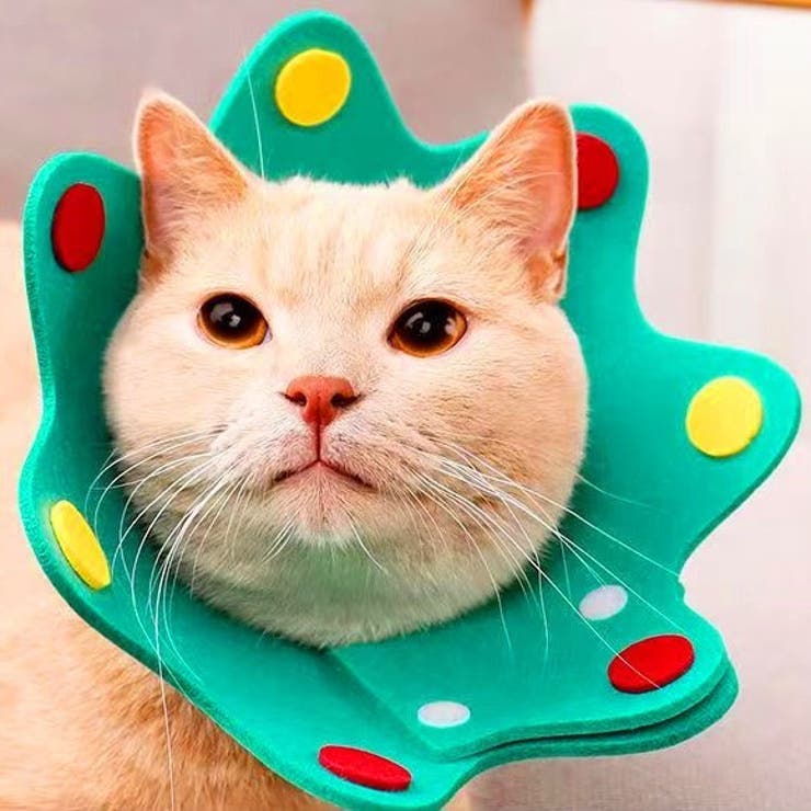 エリザベスカラー 猫 ネコ | PlusNao | 詳細画像6 