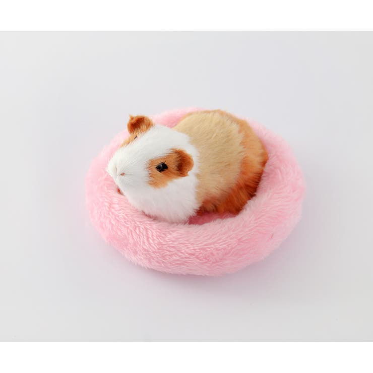 ペットベッド 小動物用 小型ペット用 | PlusNao | 詳細画像6 