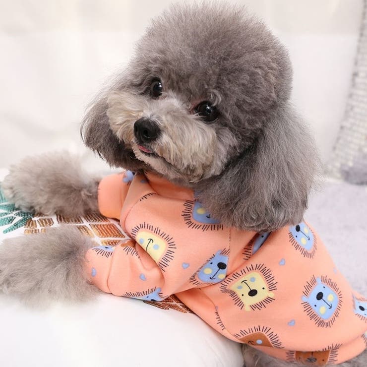 ドッグウェア 犬服 トレーナー | PlusNao | 詳細画像4 