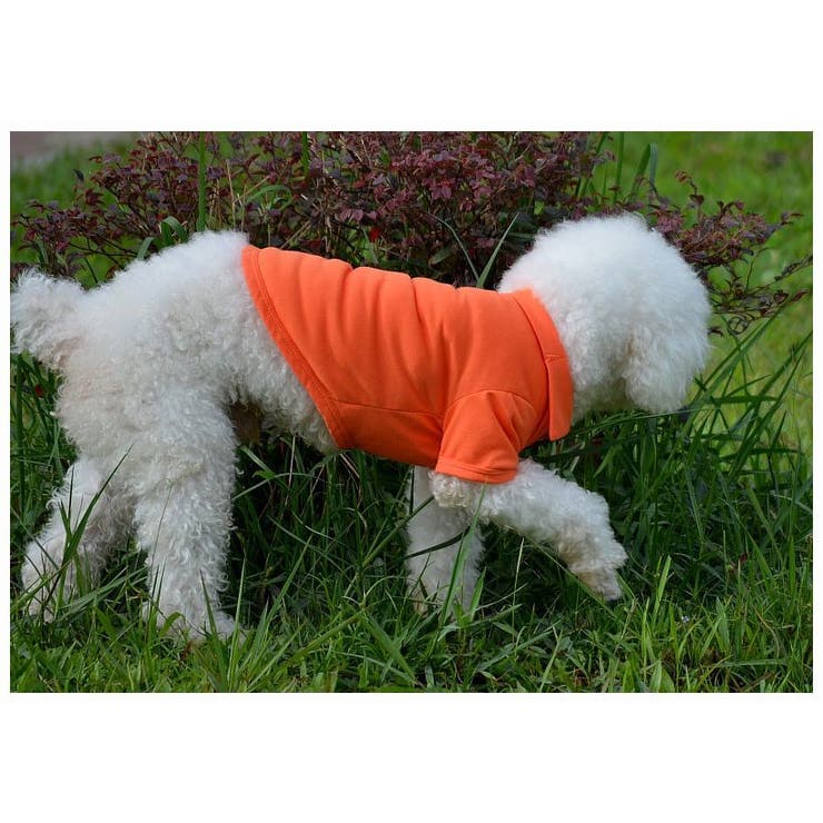 犬用ウェア 犬用シャツ ドックウェア | PlusNao | 詳細画像3 