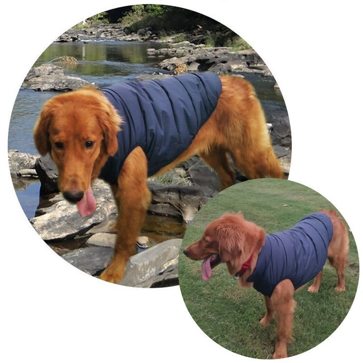 犬用コート 犬用ベスト 犬用アウター | PlusNao | 詳細画像3 