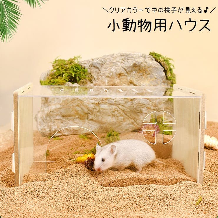 ペット 安い 用品 通販 小動物