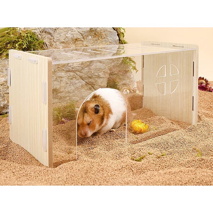小動物用ハウス ペット用品 おうち | PlusNao | 詳細画像2 