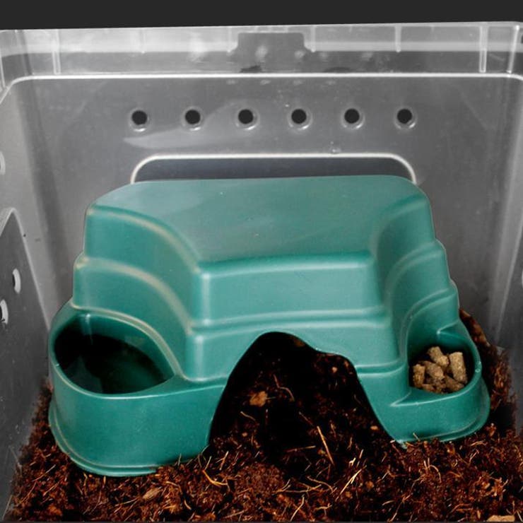 シェルター 隠れ家 爬虫類 | PlusNao | 詳細画像2 