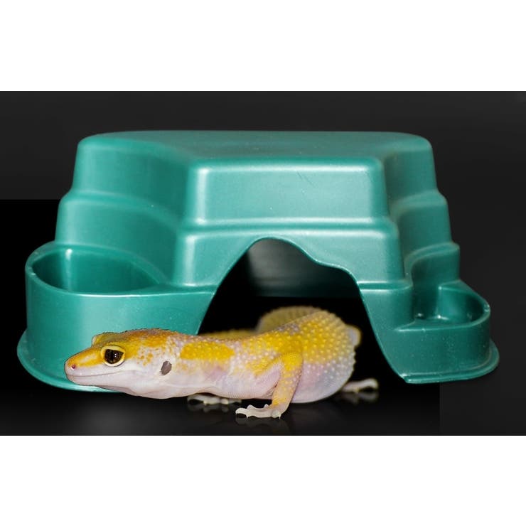 シェルター 隠れ家 爬虫類 | PlusNao | 詳細画像5 