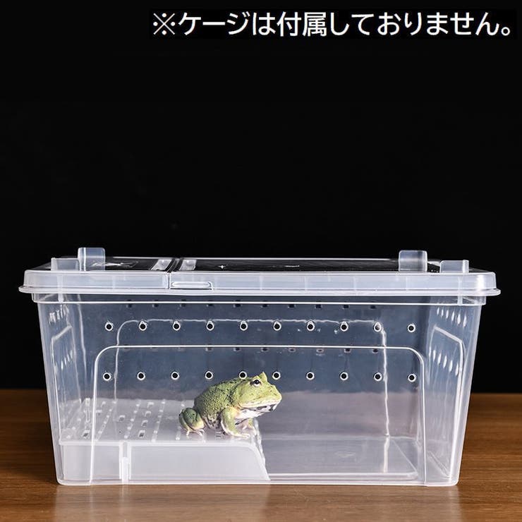 浮島 両生類用 爬虫類 | PlusNao | 詳細画像2 