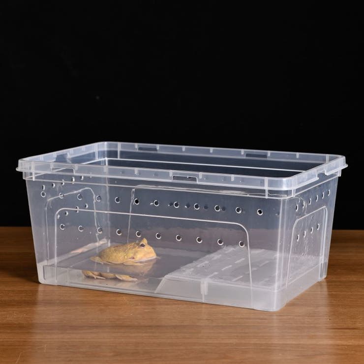 浮島 両生類用 爬虫類 | PlusNao | 詳細画像3 