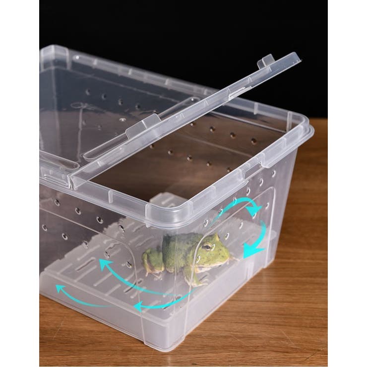 浮島 両生類用 爬虫類 | PlusNao | 詳細画像4 