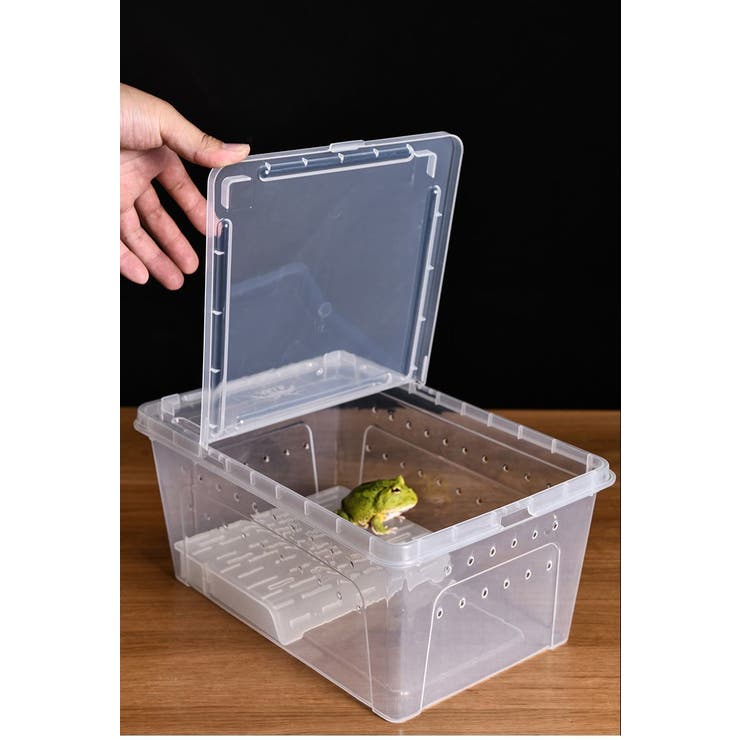 浮島 両生類用 爬虫類 | PlusNao | 詳細画像5 