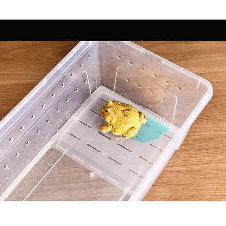 浮島 両生類用 爬虫類 | PlusNao | 詳細画像6 