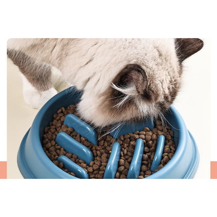 ペット用食器 フードボウル 餌入れ | PlusNao | 詳細画像9 