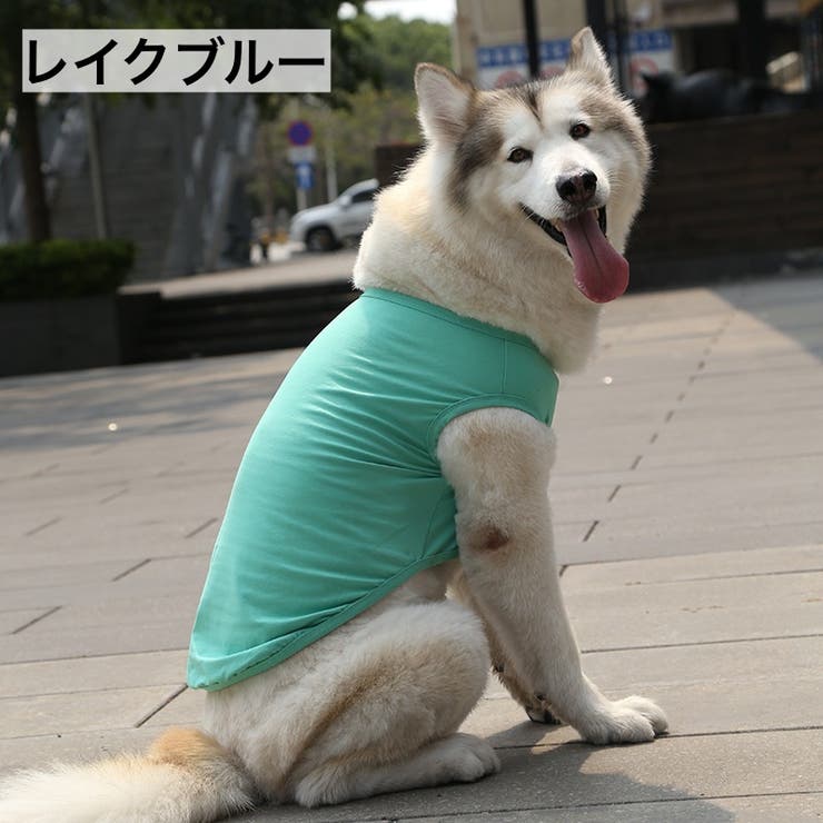 ペットウェア タンクトップ 犬服 | PlusNao | 詳細画像11 