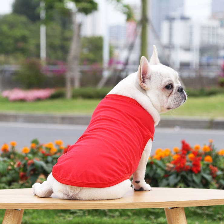 ペットウェア タンクトップ 犬服 | PlusNao | 詳細画像3 