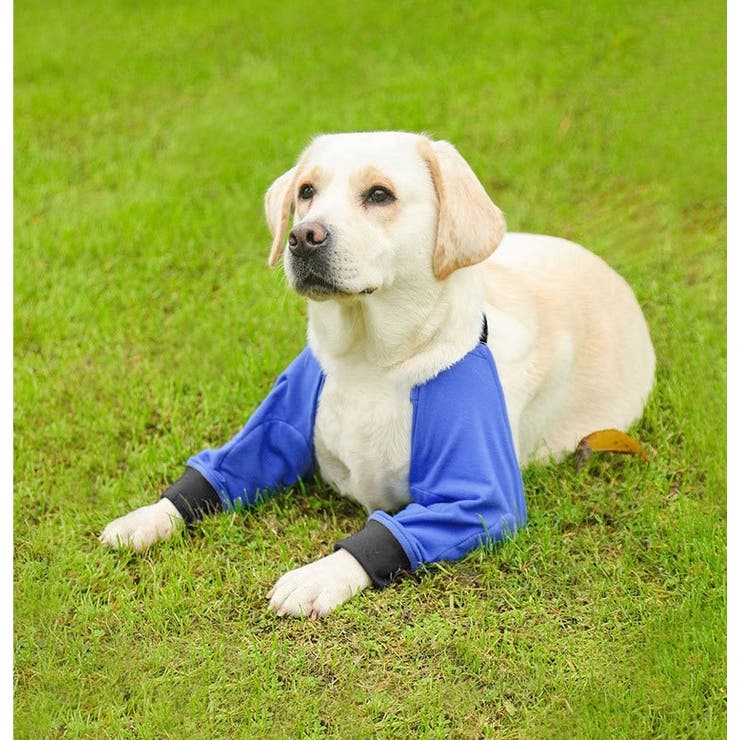 犬用サポーター ペット用 肘 | PlusNao | 詳細画像2 