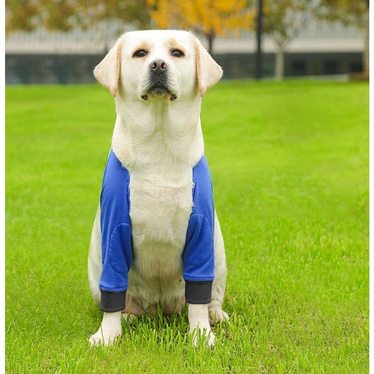 犬用サポーター ペット用 肘 | PlusNao | 詳細画像3 