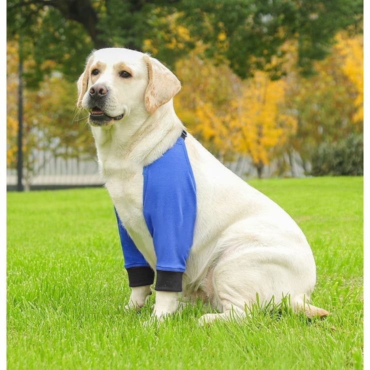 犬用サポーター ペット用 肘 | PlusNao | 詳細画像4 