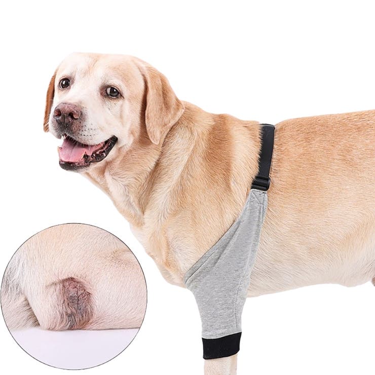 犬用サポーター ペット用 肘 | PlusNao | 詳細画像7 