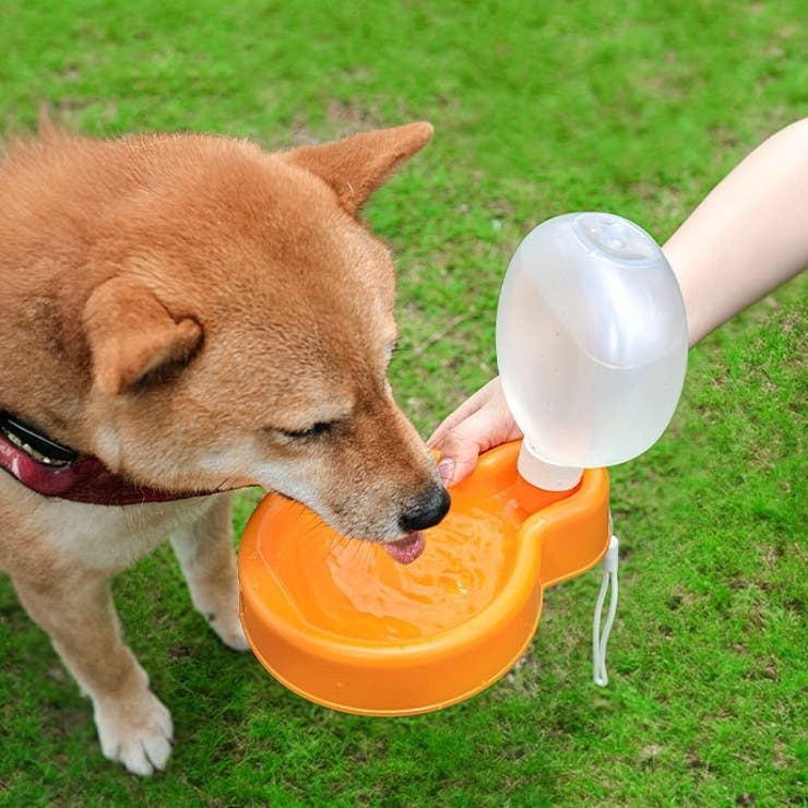 ペット用給水ボトル ウォーターボウル 給水器 | PlusNao | 詳細画像2 