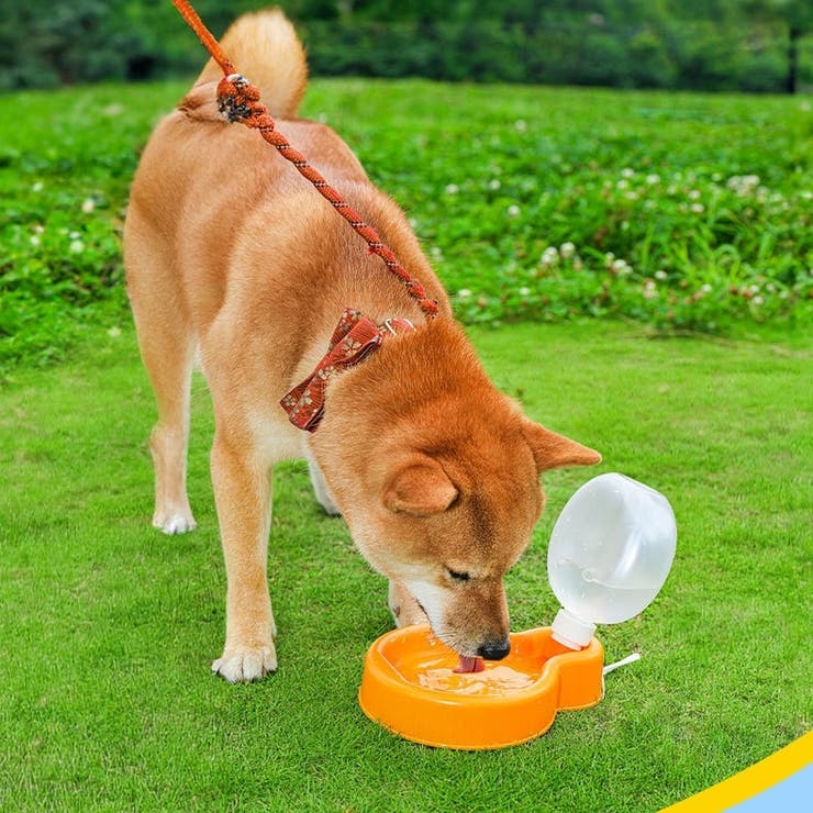 ペット用給水ボトル ウォーターボウル 給水器 | PlusNao | 詳細画像3 