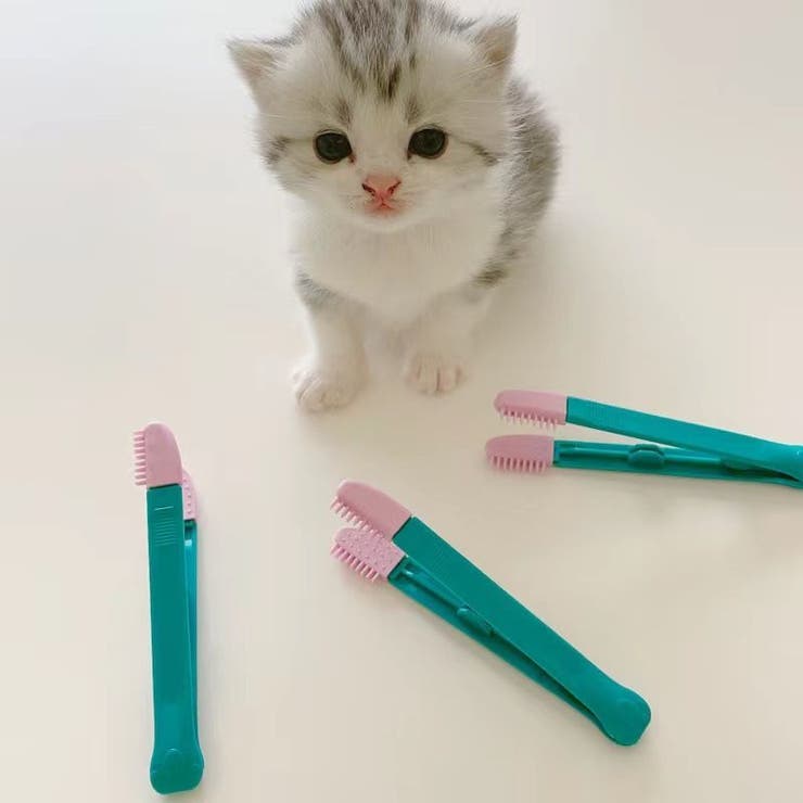 アイクリーナー ペット用 ソフトブラシ | PlusNao | 詳細画像4 