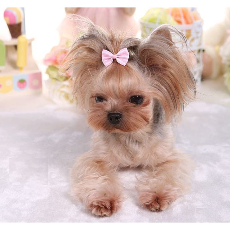 ペット用アクセサリー ヘアアクセ ヘアクリップ | PlusNao | 詳細画像4 