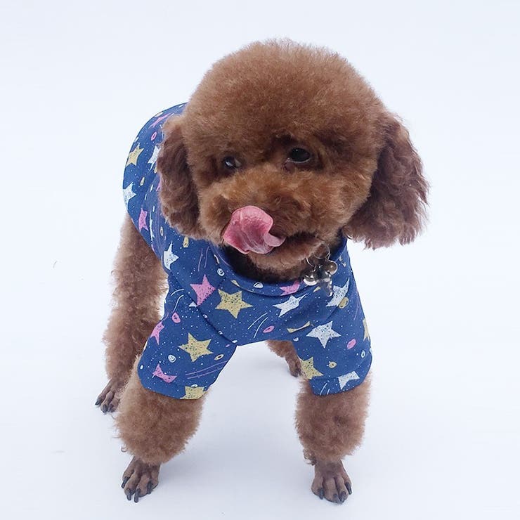 犬用カットソー ペットウェア 長袖 | PlusNao | 詳細画像2 