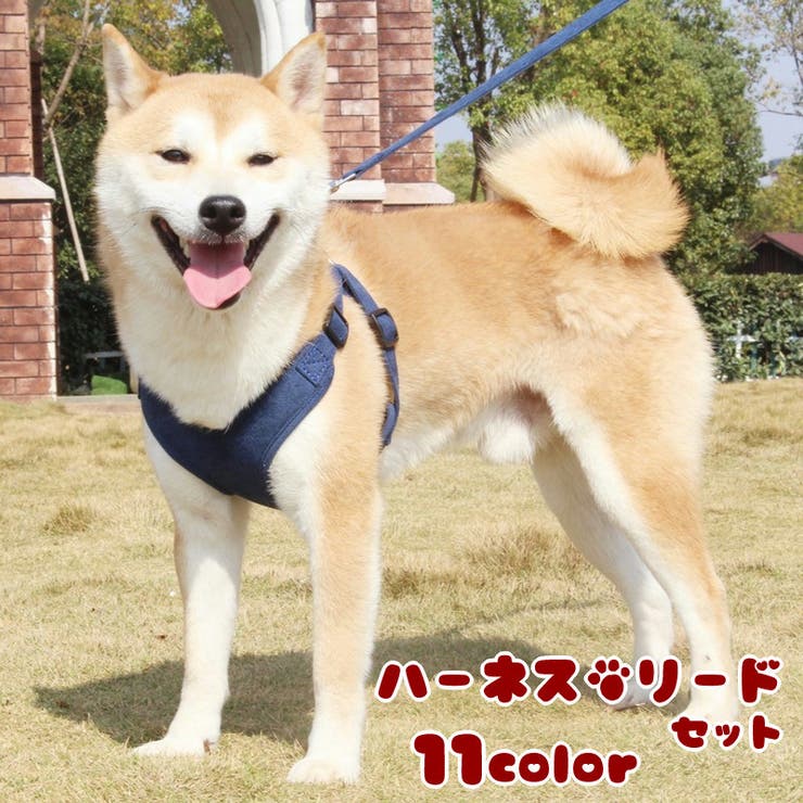 ハーネスリード 首輪 胴輪 品番 Fq Plusnao プラスナオ のレディースファッション通販 Shoplist ショップリスト